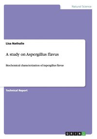 bokomslag A Study on Aspergillus Flavus