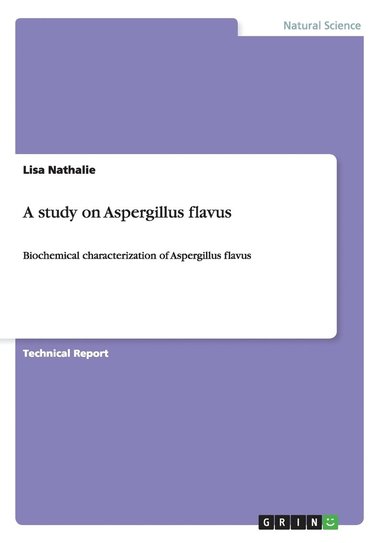 bokomslag A Study on Aspergillus Flavus