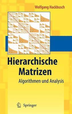 Wolfgang Hackbusch - Hierarchische Matrizen, Inbunden