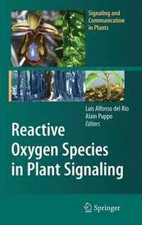 bokomslag Reactive Oxygen Species in Plant Signaling