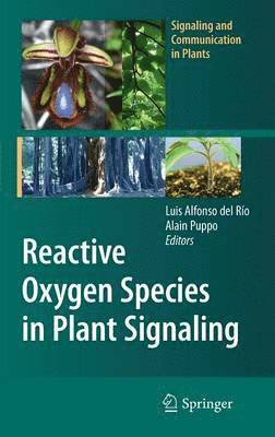 Reactive Oxygen Species in Plant Signaling 1