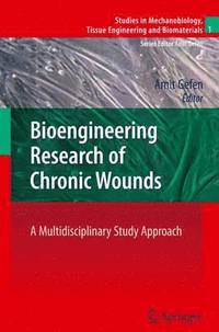 bokomslag Bioengineering Research of Chronic Wounds