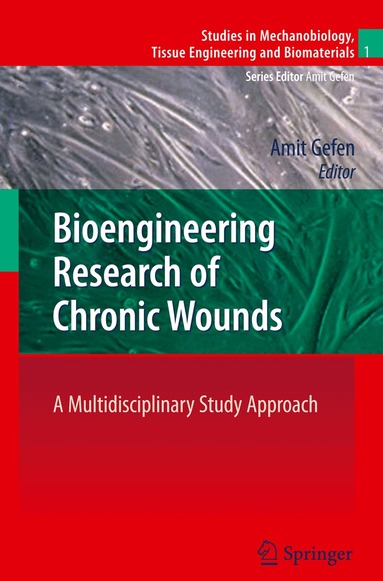 Amit Gefen - Bioengineering Research of Chronic Wounds, Inbunden