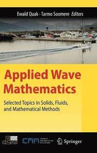bokomslag Applied Wave Mathematics