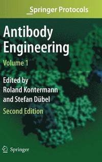 bokomslag Antibody Engineering Volume 1