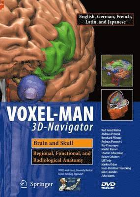 Voxel-Man 3D-Navigator: Brain and Skull: Regional, Functional, and Radiological Anatomy 1