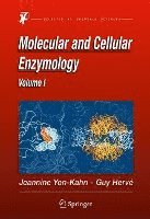 bokomslag Molecular and Cellular Enzymology