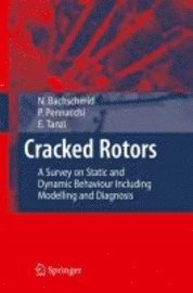 bokomslag Cracked Rotors