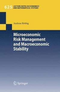 bokomslag Microeconomic Risk Management and Macroeconomic Stability