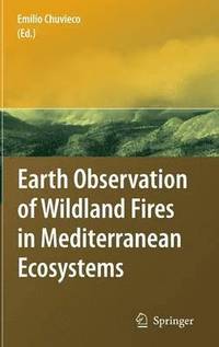 bokomslag Earth Observation of Wildland Fires in Mediterranean Ecosystems