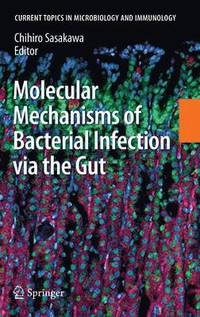 bokomslag Molecular Mechanisms of Bacterial Infection via the Gut