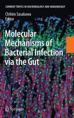 bokomslag Molecular Mechanisms of Bacterial Infection via the Gut