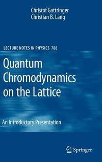 bokomslag Quantum Chromodynamics on the Lattice