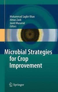 bokomslag Microbial Strategies for Crop Improvement