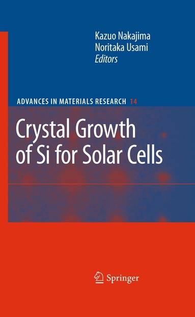 Kazuo Nakajima, Noritaka Usami - Crystal Growth of Silicon for Solar Cells, Inbunden