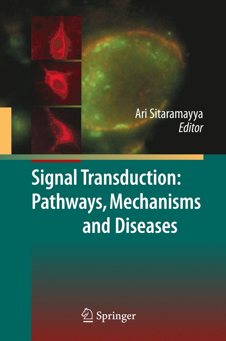 Ari Sitaramayya - Signal Transduction: Pathways, Mechanisms and Diseases, Inbunden