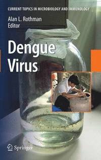 bokomslag Dengue Virus