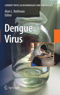 Dengue Virus 1