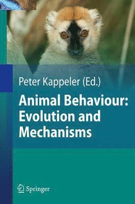 bokomslag Animal Behaviour: Evolution and Mechanisms