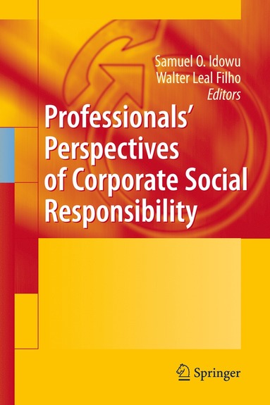 bokomslag Professionals Perspectives of Corporate Social Responsibility