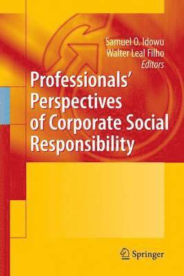 Professionals Perspectives of Corporate Social Responsibility 1