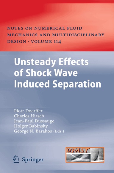 Piotr Doerffer, Charles Hirsch, Jean-Paul Dussauge, Holger Babinsky, George N. Barakos - Unsteady Effects of Shock Wave induced Separation, Inbunden