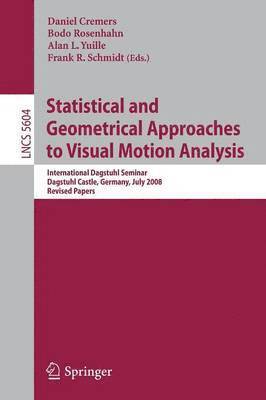 Statistical and Geometrical Approaches to Visual Motion Analysis 1