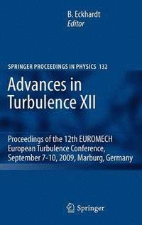 bokomslag Advances in Turbulence XII