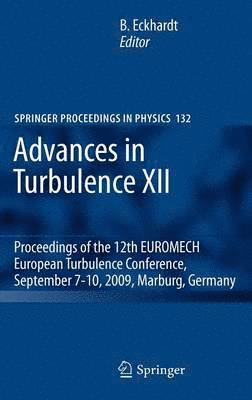 bokomslag Advances in Turbulence XII