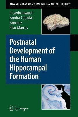 bokomslag Postnatal Development of the Human Hippocampal Formation