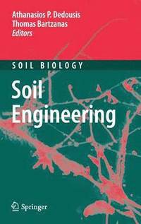 bokomslag Soil Engineering