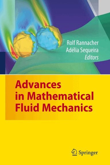 Rolf Rannacher, Adélia Sequeira - Advances in Mathematical Fluid Mechanics, Inbunden