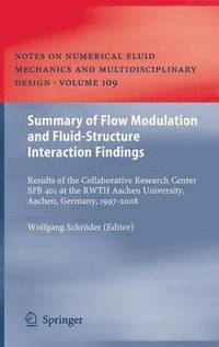 bokomslag Summary of Flow Modulation and Fluid-Structure Interaction Findings