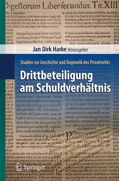 Jan Dirk Harke - Drittbeteiligung am Schuldverhältnis, Häftad