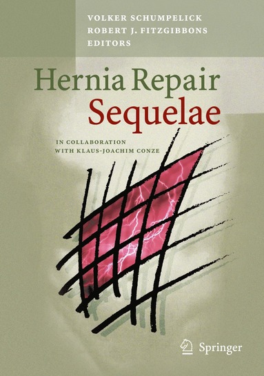 bokomslag Hernia Repair Sequelae