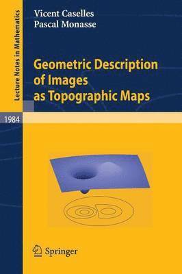 Geometric Description of Images as Topographic Maps 1