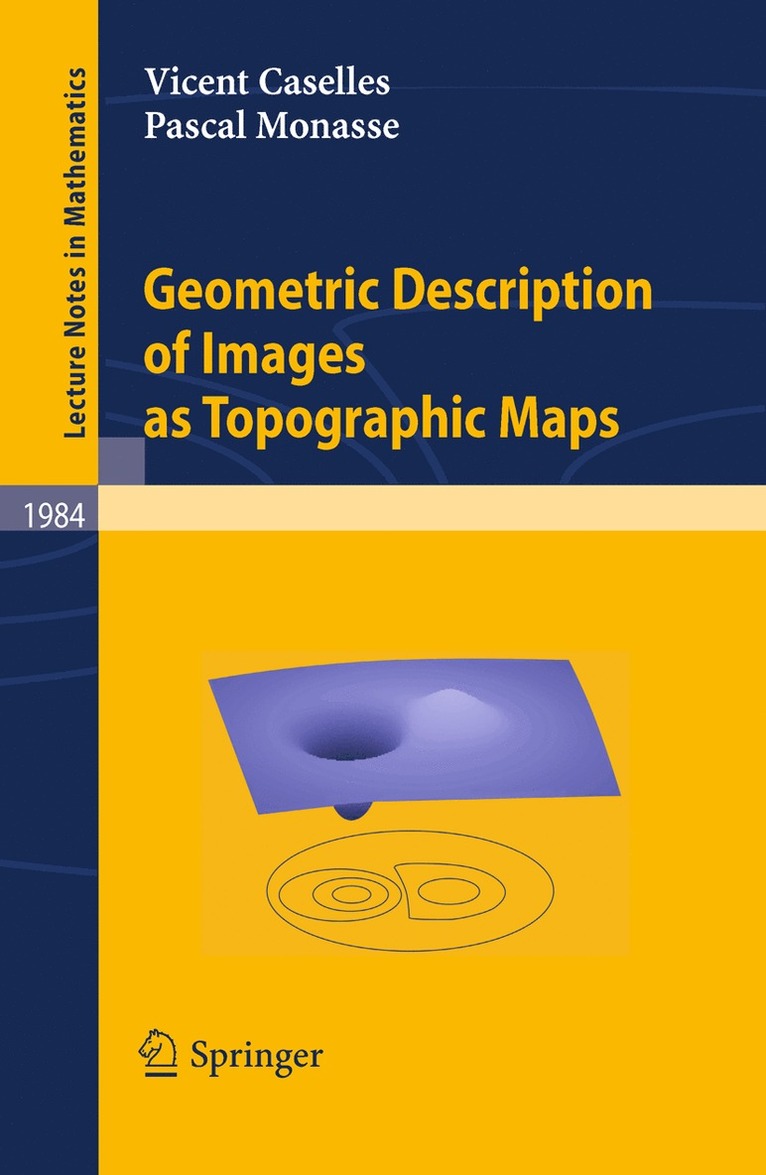 Geometric Description of Images as Topographic Maps 1