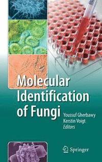 bokomslag Molecular Identification of Fungi