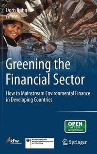 bokomslag Greening the Financial Sector