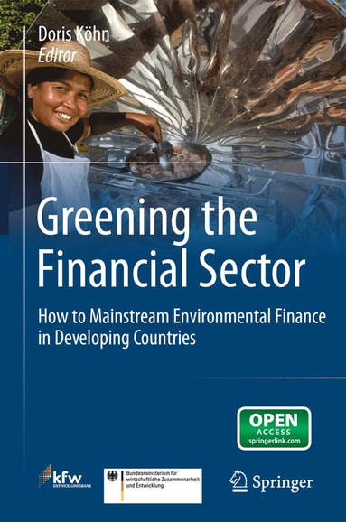 bokomslag Greening the Financial Sector