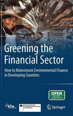 Doris Köhn, Doris Kohn - Greening the Financial Sector, Inbunden