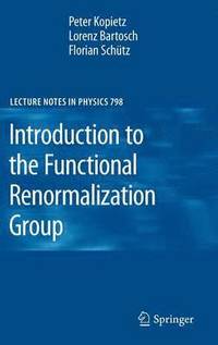 bokomslag Introduction to the Functional Renormalization Group