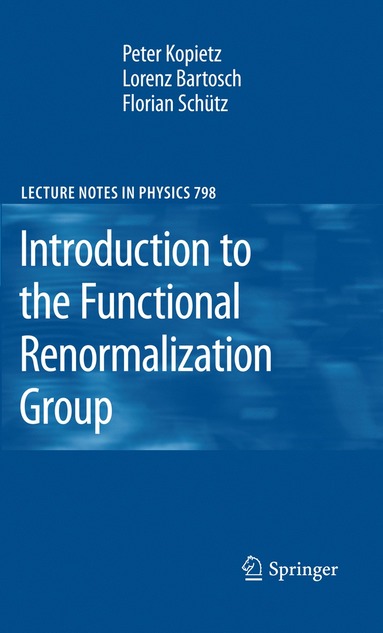 bokomslag Introduction to the Functional Renormalization Group