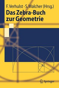bokomslag Das Zebra-Buch zur Geometrie