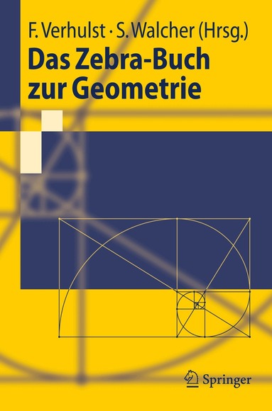 Ferdinand Verhulst, Sebastian Walcher - Das Zebra-Buch zur Geometrie, Häftad