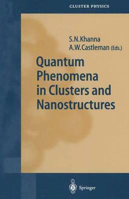 Quantum Phenomena in Clusters and Nanostructures 1