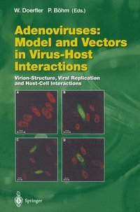 bokomslag Adenoviruses: Model and Vectors in Virus-Host Interactions