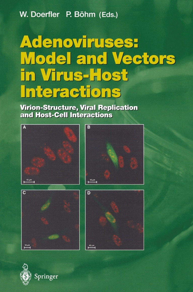 Walter Doerfler, Petra Böhm - Adenoviruses: Model and Vectors in Virus-Host Interactions, Häftad
