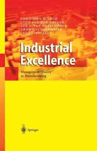 bokomslag Industrial Excellence