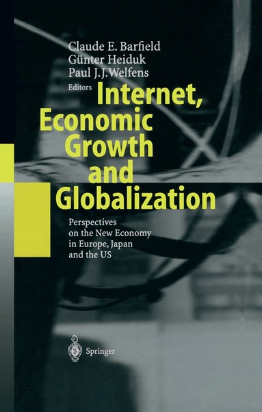 Claude E. Barfield, Günter S. Heiduk, Paul J.J. Welfens - Internet, Economic Growth and Globalization, Häftad